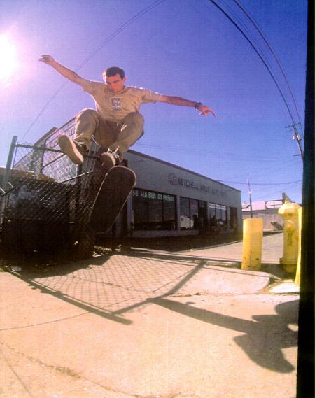 tony hawk